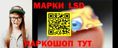 гашик Будённовск