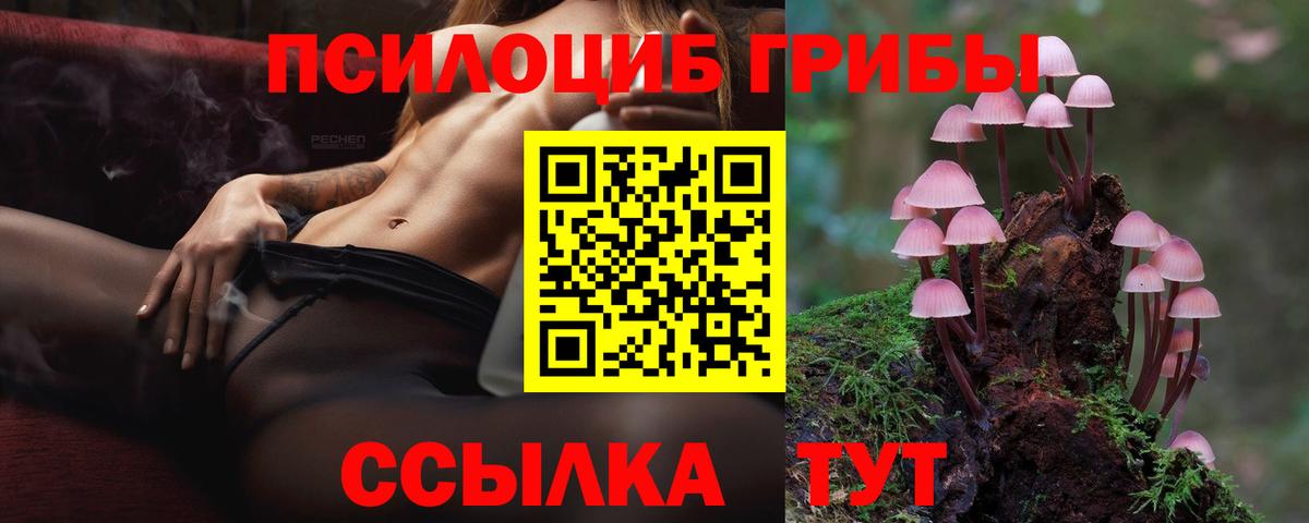 Сокол  Псилоцибиновые грибы MAGIC MUSHROOMS  Вход с VPN 