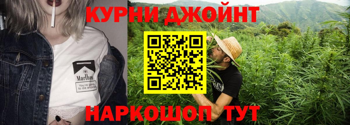 Канабис конопля Сокол